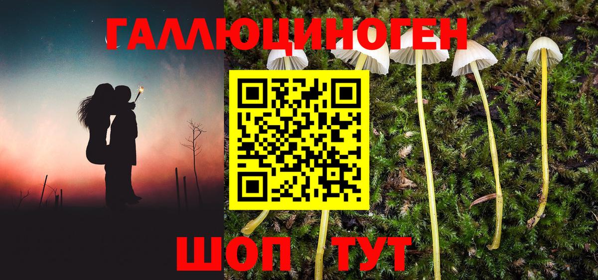 Люберцы  Галлюциногенные грибы Magic Shrooms  Вход с VPN 